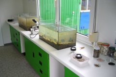 Aquarien_NEST_P1080778