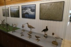 NEST_Sehestedt_Ausst_Foto_von_Lemm-002