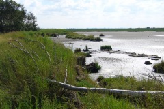 Schwi_Moor_Abbrka