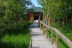 Bohlenweg_Schwi_Mo_P1130125