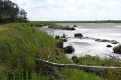 Schwi_Moor_Abbrka