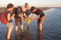 Sehestedt-von-Marcel-Sakowitz-10