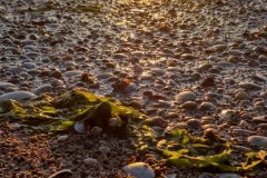 Sehestedt-von-Marcel-Sakowitz-2-scaled