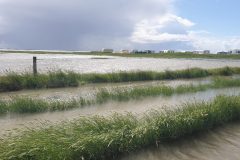 Sehestedt-von-Marcel-Sakowitz-3-scaled