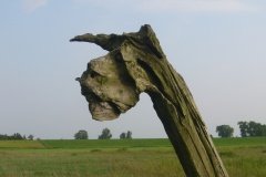 P1220426_Weg_ans_Watt